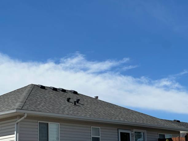 Siding in Gurnee, IL